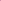 Tropical Print Silk Feel Scarf - Pink/Aqua